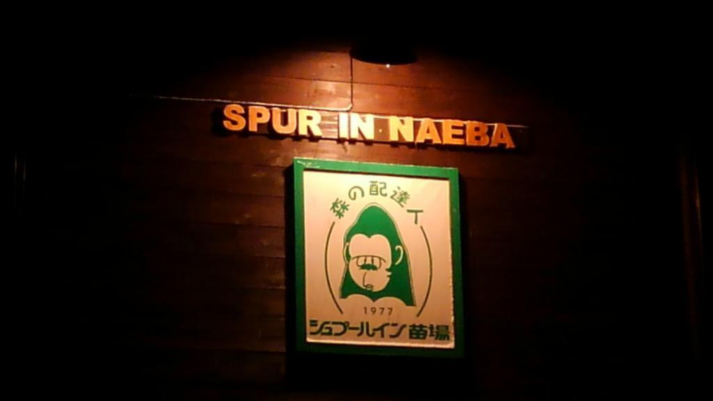 Spur In Naeba Βίλα Kusatsu  Εξωτερικό φωτογραφία