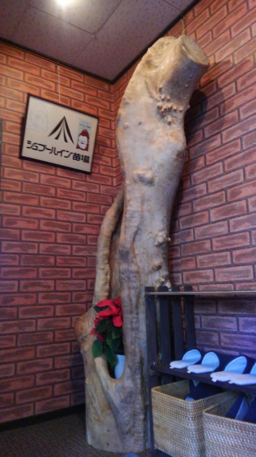 Spur In Naeba Βίλα Kusatsu  Εξωτερικό φωτογραφία